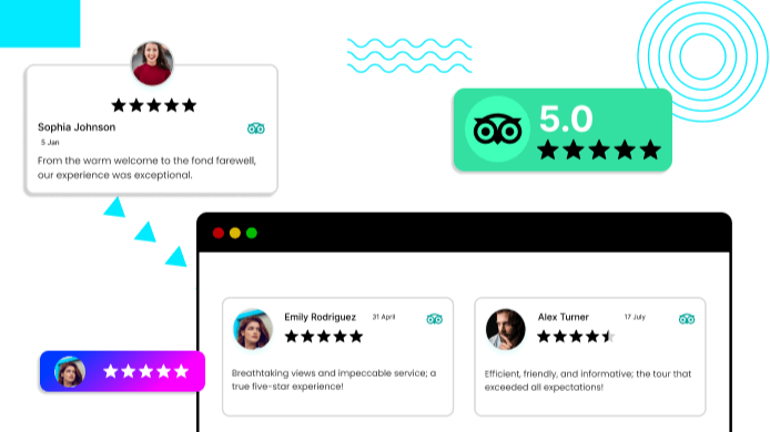 TripAdvisor Reviews